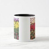 Nederland, Keukenhoff Gardens, tulpen. Mok (Midden)