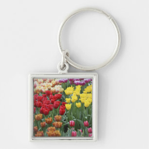 Nederland, Keukenhoff-tuin, tulpen. Sleutelhanger