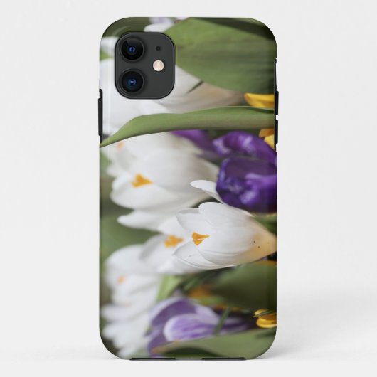 Nederland, Keukenhoff-tuinen, Tulpen. Case-Mate iPhone Case (Achterkant)