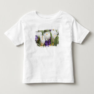 Nederland, Keukenhoff-tuinen, Tulpen. Kinder Shirts
