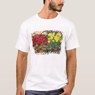 Nederland, Keukenhoff-tuinen, tulpen. T-shirt