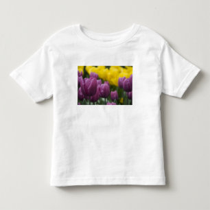 Nederland, Lisse. Keukenhof 10 Kinder Shirts