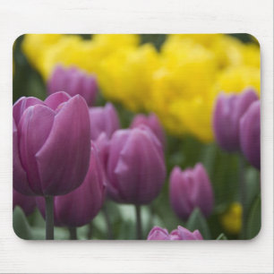 Nederland, Lisse. Keukenhof 10 Muismat