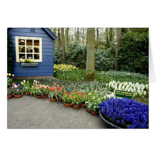 Nederland, Lisse. Keukenhof 11 (Voorkant Horizontaal)