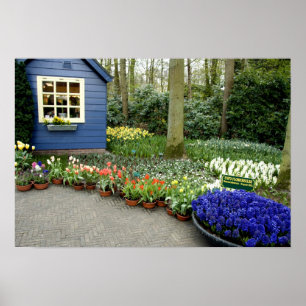 Nederland, Lisse. Keukenhof 11 Poster