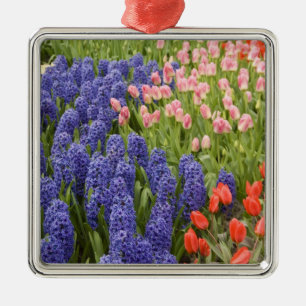 Nederland, Lisse. Keukenhof 2 Metalen Ornament