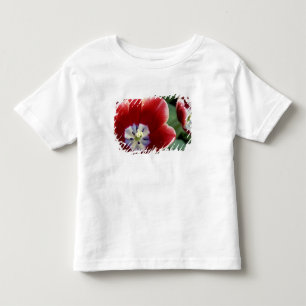 Nederland, Lisse. Keukenhof 3 Kinder Shirts