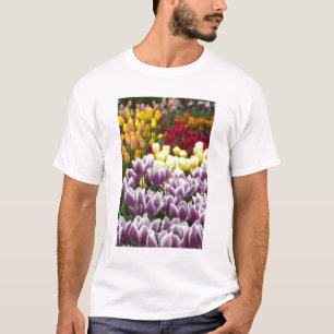Nederland, Lisse. Keukenhof 3 T-shirt