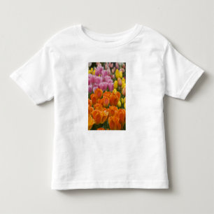 Nederland, Lisse. Keukenhof 4 Kinder Shirts