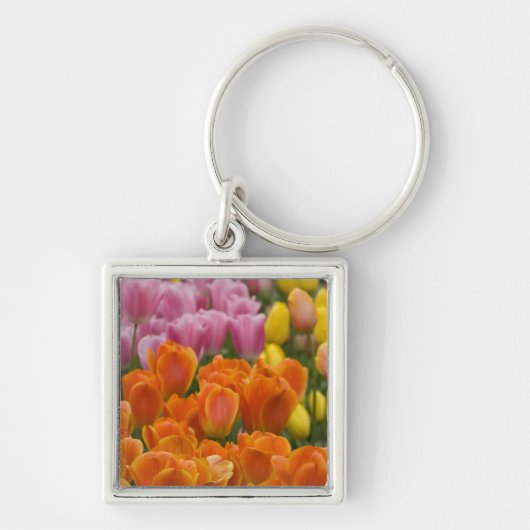 Nederland, Lisse. Keukenhof 4 Sleutelhanger (Voorkant)