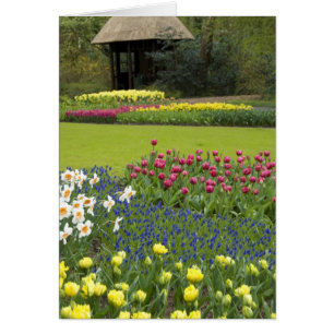 Nederland, Lisse. Keukenhof 5