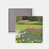 Nederland, Lisse. Keukenhof 5 Magneet (Voorkant / Achterkant)