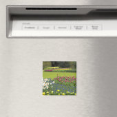 Nederland, Lisse. Keukenhof 5 Magneet (Insitu (Vaatwasser))