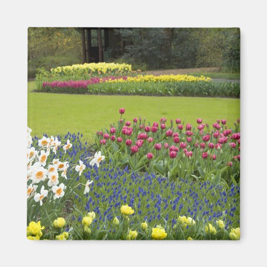 Nederland, Lisse. Keukenhof 5 Magneet (Voorkant)