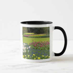 Nederland, Lisse. Keukenhof 5 Mok