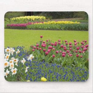 Nederland, Lisse. Keukenhof 5 Muismat