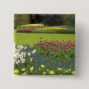 Nederland, Lisse. Keukenhof 5 Vierkante Button 5,1 Cm