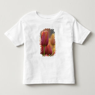 Nederland, Lisse. Keukenhof 6 Kinder Shirts