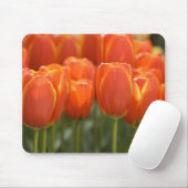 Nederland, Lisse. Keukenhof 7 Muismat (Met muis)
