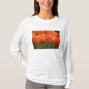Nederland, Lisse. Keukenhof 7 T-shirt