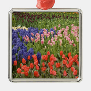 Nederland, Lisse. Keukenhof 8 Metalen Ornament