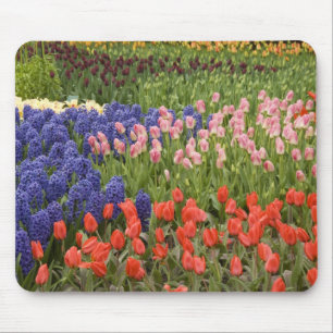 Nederland, Lisse. Keukenhof 8 Muismat