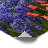 Nederland, Lisse. Keukenhof 8 Poster (Hoek)