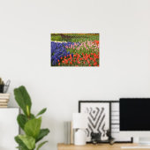 Nederland, Lisse. Keukenhof 8 Poster (Thuiskantoor)