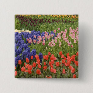 Nederland, Lisse. Keukenhof 8 Vierkante Button 5,1 Cm