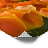 Nederland, Lisse. Keukenhof 9 Poster (Hoek)