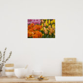 Nederland, Lisse. Keukenhof 9 Poster (Keuken)