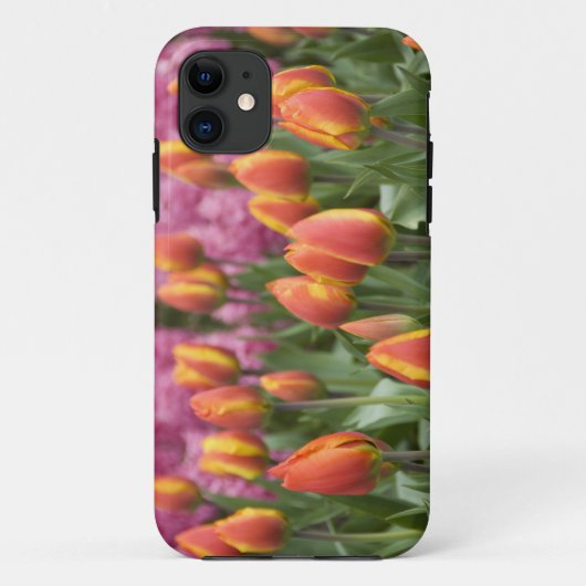 Nederland, Lisse. Keukenhof Case-Mate iPhone Case (Achterkant)