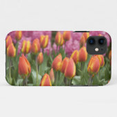 Nederland, Lisse. Keukenhof Case-Mate iPhone Case (Achterkant (horizontaal))