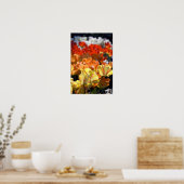 Nederland, Lisse. Keukenhof Poster (Keuken)