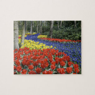 Nederland, Nederland, Nederland, Lisse, Keukenhof  Legpuzzel