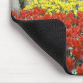 Nederland, Nederland, Nederland, Lisse, Keukenhof  Muismat (Hoek)