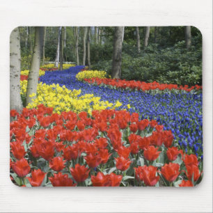 Nederland, Nederland, Nederland, Lisse, Keukenhof  Muismat