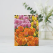 Nederland (ook bekend als Holland), Lisse. Keukenh Briefkaart (Staand voorkant)