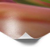 Nederland (ook bekend als Holland), Lisse. Keukenh Foto Afdruk (Hoek)