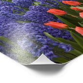 Nederland (ook bekend als Holland), Lisse. Keukenh Foto Afdruk (Hoek)