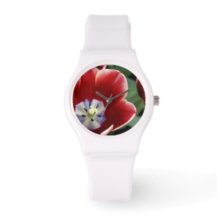 Nederland (ook bekend als Holland), Lisse. Keukenh Horloge