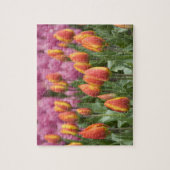 Nederland (ook bekend als Holland), Lisse. Keukenh Legpuzzel (Verticaal)