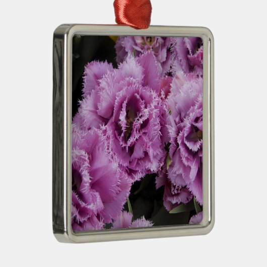 Nederland (ook bekend als Holland), Lisse. Keukenh Metalen Ornament (Rechts)