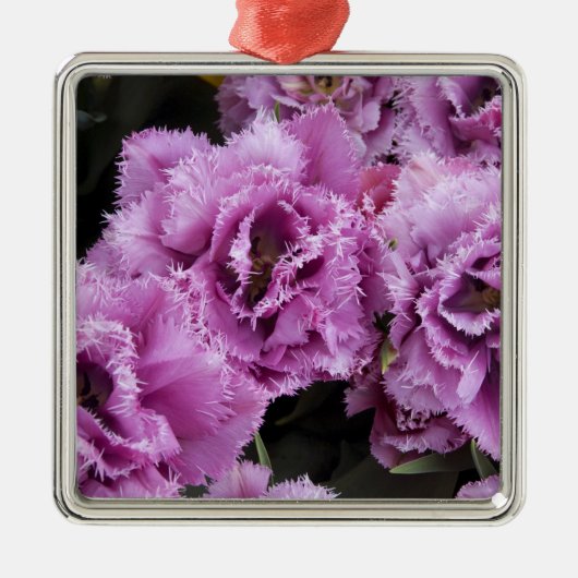 Nederland (ook bekend als Holland), Lisse. Keukenh Metalen Ornament (Voorkant)