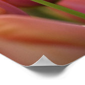 Nederland (ook bekend als Holland), Lisse. Keukenh Poster (Hoek)