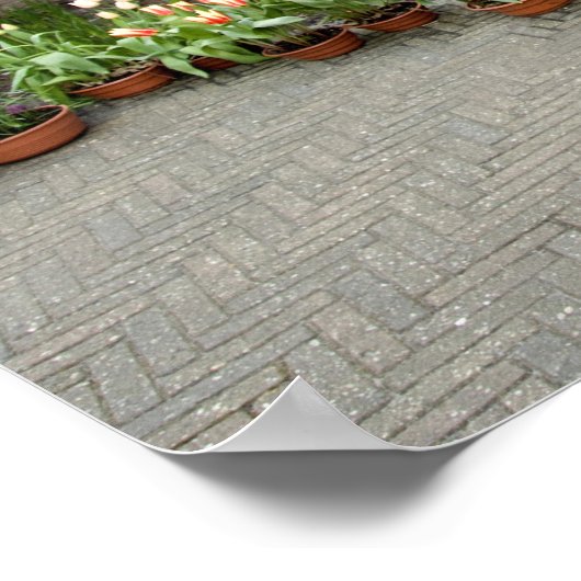 Nederland (ook bekend als Holland), Lisse. Keukenh Poster (Hoek)