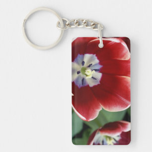 Nederland (ook bekend als Holland), Lisse. Keukenh Sleutelhanger
