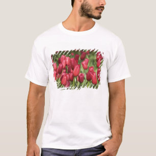 Nederland (ook bekend als Holland), Lisse. Keukenh T-shirt