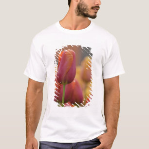 Nederland (ook bekend als Holland), Lisse. Keukenh T-shirt