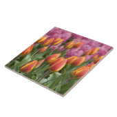 Nederland (ook bekend als Holland), Lisse. Keukenh Tegeltje (Zijkant)